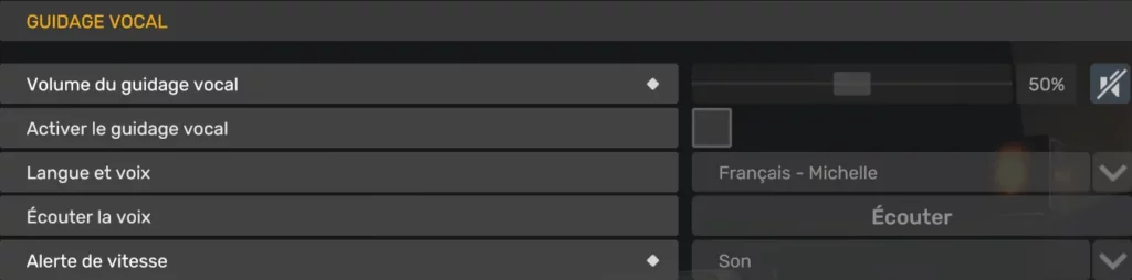 Paramètres du guidage vocal dans ATS et ETS2 avec navigation vocale désactivée pour une immersion maximale.